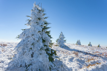 第一场雪朝着太阳山