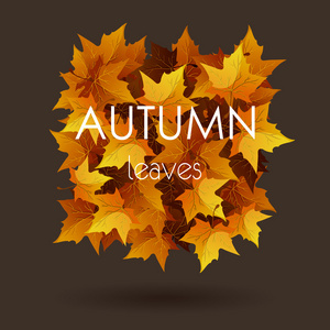 多彩的秋天的树叶在黑暗的背景模板。矢量图