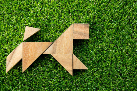 木制七巧板拼图在狗人工绿草背景上的形状