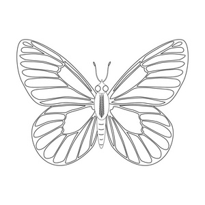 无色的卡通集合图片-无色的卡通集合素材-无色的卡通集合插画-摄图新