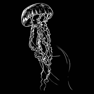 水母的剪影图片