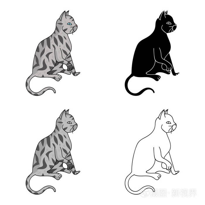 美国短毛猫在白色背景上孤立的卡通风格的图标猫品种符号股票矢量图