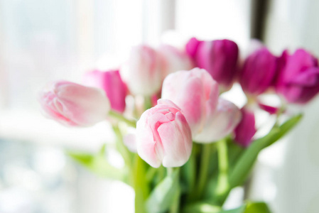 窗台上花瓶里的粉红色郁金香花束特写