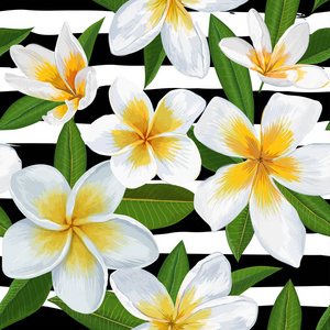 热带无缝图案与鸡蛋花。花卉背景与棕榈叶的墙纸, 织物, 包装, 装饰。矢量插图