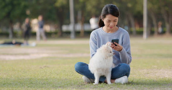 妇女使用手机坐在绿色草坪上与她的狗
