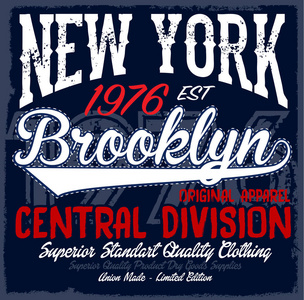纽约城布鲁克林垃圾背景。排版t 恤 g
