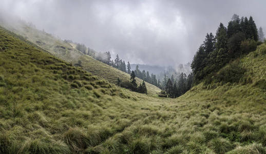 尼泊尔多云的喜马拉雅山和森林。在喜马拉雅山徒步旅行。Mohare Danda 跋涉