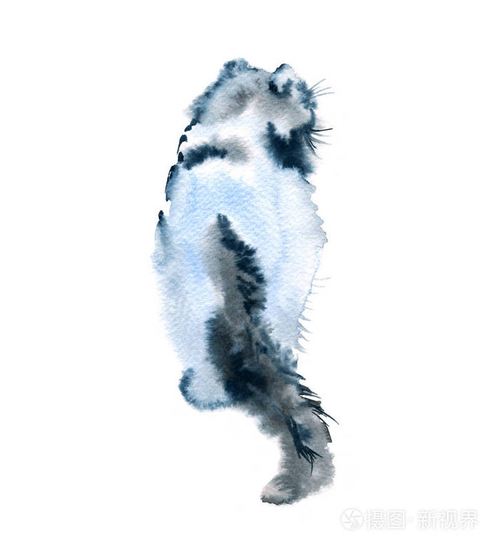 这只猫背坐着她 灰色和白色的颜色 小猫 水彩插图照片 正版商用图片0nejxi 摄图新视界