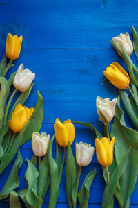 行的郁金香蓝色木背景与用于消息的空间。妇女或母亲节的背景。顶视图