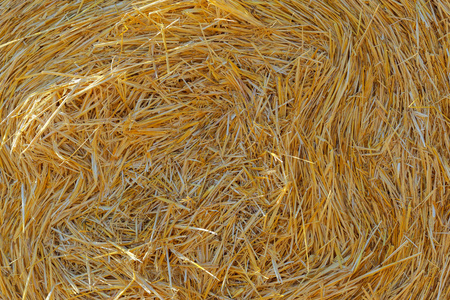 褐色干稻草背景