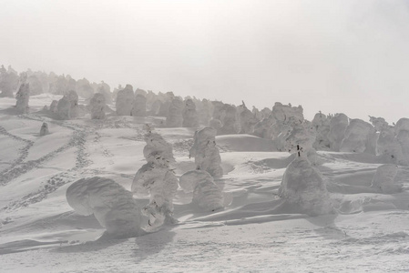 在枣山雪怪物