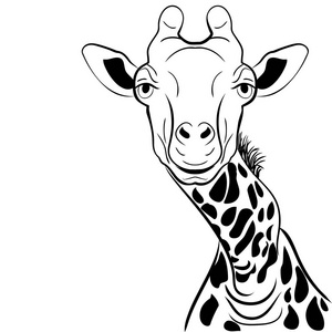 图形化的图像长颈鹿头墨水素描图片