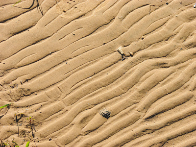 沙子的质地, 在海边的海滩上