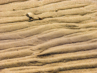 沙子的质地, 在海边的海滩上