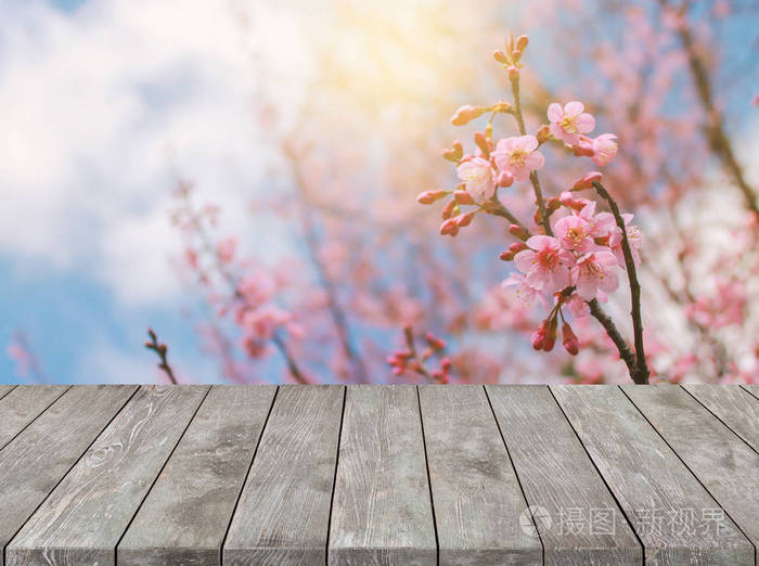 空的老木桌和樱花花和阳光背景