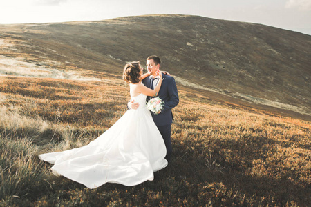 幸福的新婚夫妇构成在山的美丽景色
