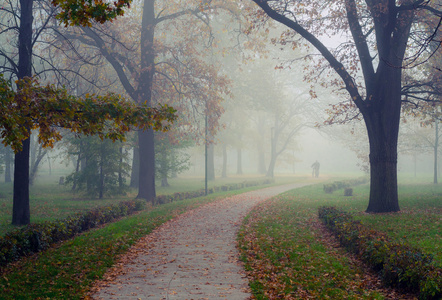 人在美丽雾的秋天早晨在公园里走着