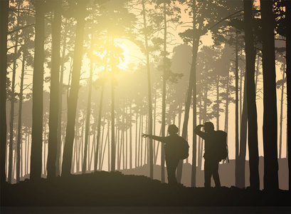 两个游客, 男人和女人在树林中漫步阳光矢量
