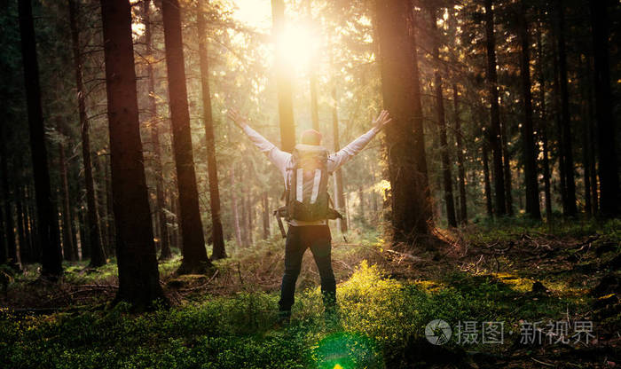 年轻人在寂静的森林与阳光