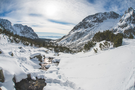 高山，白雪和太阳。