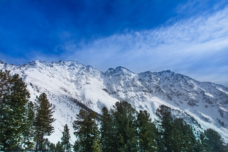 美丽风景的山