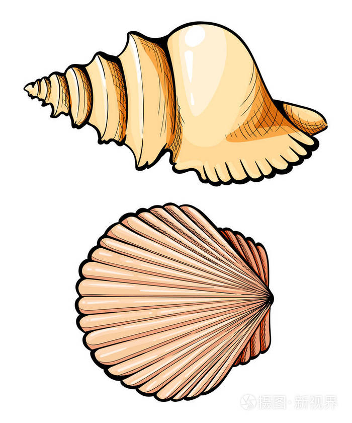 手绘集的海贝壳, 珊瑚, 螃蟹, 虾和章鱼.矢量黑色雕刻过时的插图.