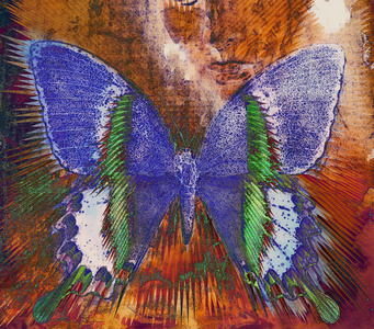 彩色蝴蝶 插图和混合介质，抽象的背景下，老式的防锈效果