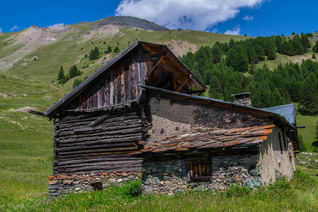法国阿尔卑斯山高地的黑塞拉克奎拉木材