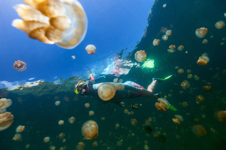 旅游在水母湖浮潜图片