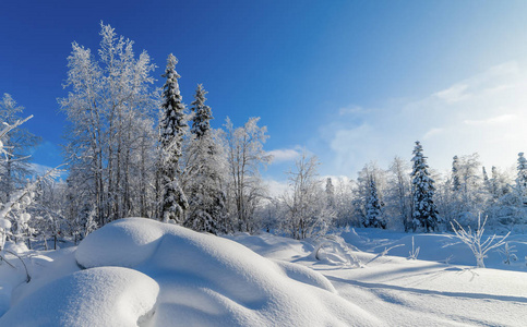 表达雪的美景图片