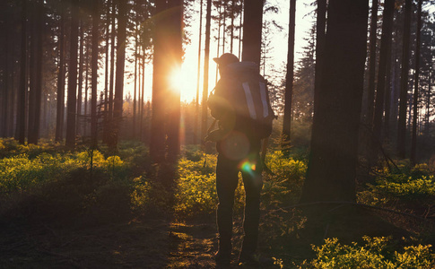 年轻人在寂静的森林与阳光图片