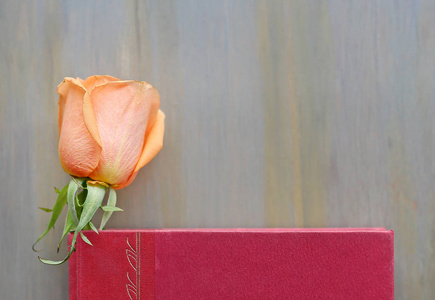 玫瑰花朵和红色的精装书