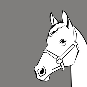 饲养马精美的矢量剪影,矢量马动物插图野马照片