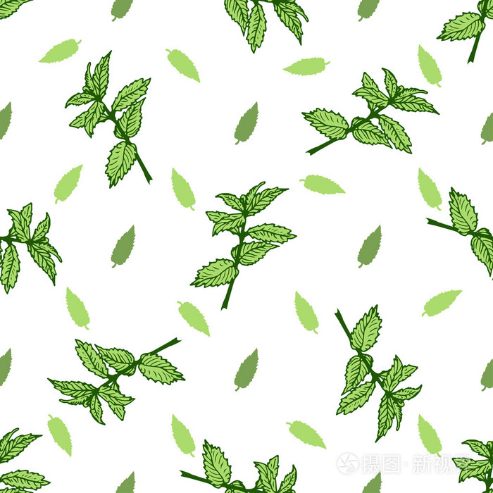 素描草药薄荷茶插画-正版商用图片0ngjy3-摄图新视界