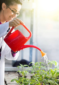 生物学家浇水在温室中的幼苗图片