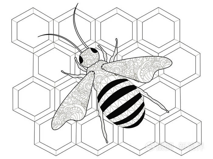 蜂巢的画法(简笔画)图片