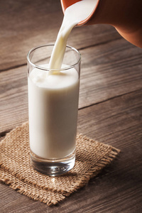 奶牛放牧向草地矢量carto向我母亲和孩