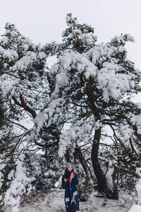 一个年轻漂亮的女孩摆在一个大白雪覆盖的松树佛瑞斯