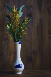 黄色枝条制成的相思，含羞草在一个白色的花瓶与蓝色，与旧的木制棕色背景上的窄颈的花束