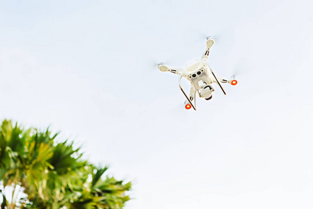 直升飞机上有一架专业照相机, 飞越热带树木, 对着蓝天。德龙