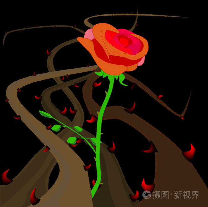 玫瑰刺和荆棘