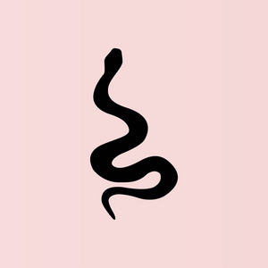 蛇平图标