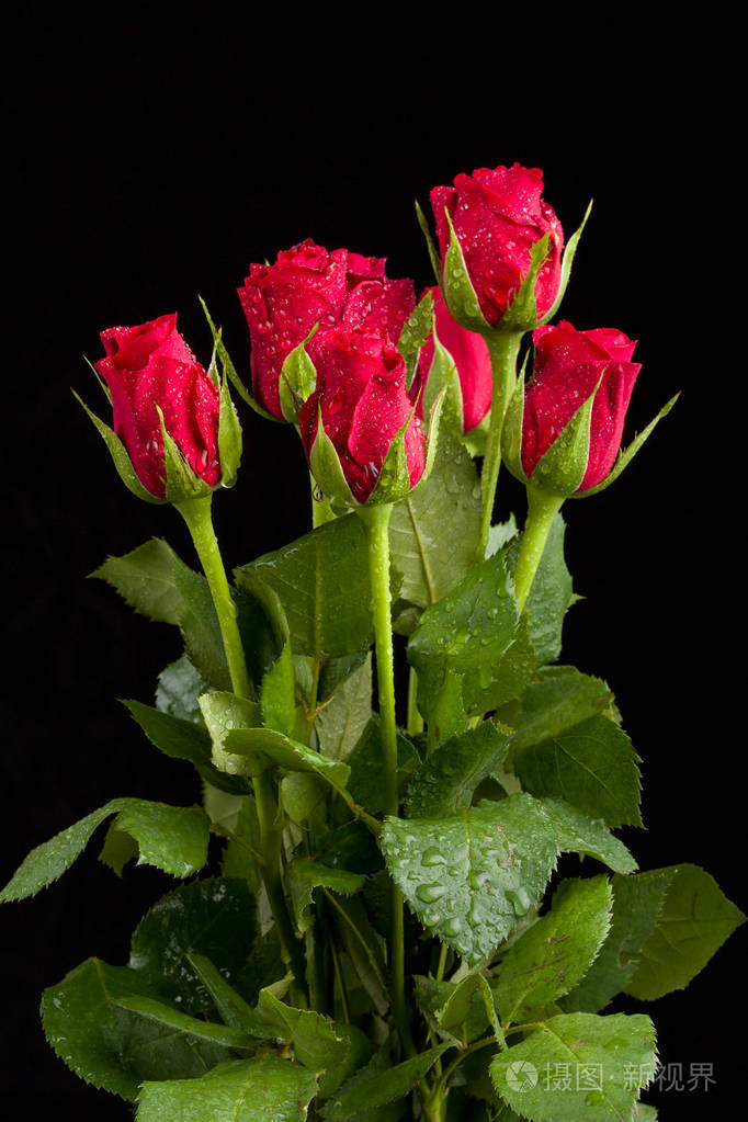 花束新鲜的红色玫瑰