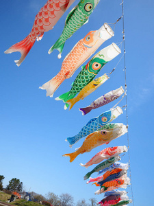 鲤鱼旗在日本图片