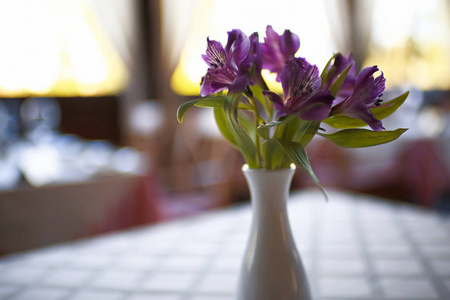 花瓶与花在桌子上