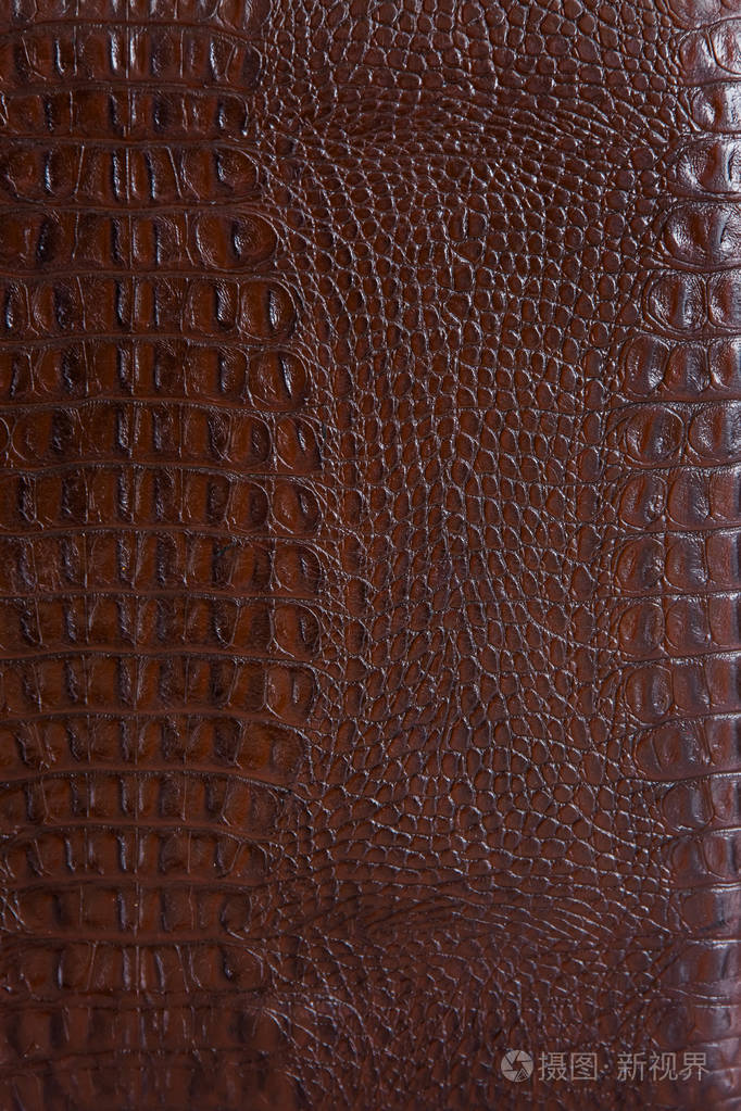 鳄鱼皮的纹理