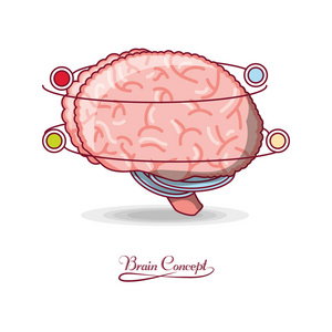 大脑的概念设计