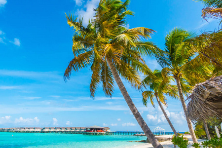 美丽热带马尔代夫岛，白色砂质海滩和海 w