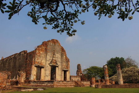 泰国历史公园华富里，古建筑，通常与树帧查看