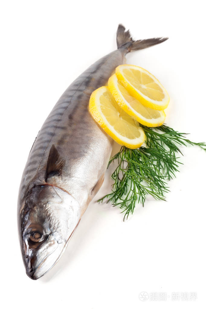 孤立在白色背景上的一个新鲜鲭鱼